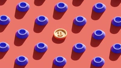 💰BBVA México anuncia fondo enfocado en Web3