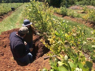🌳 Bioprotegens innovations anuncia el levantamiento de su ronda pre-semilla