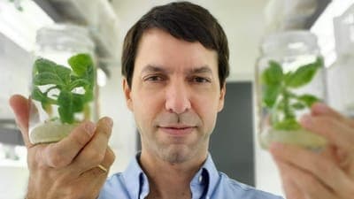 🌳 Bioheuris fue reconocida por Startus Insights como una de las AgTechs más relevantes de la región
