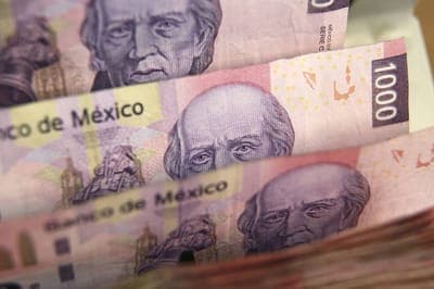 💸  Castor levantó US$1.8M en su ronda semilla