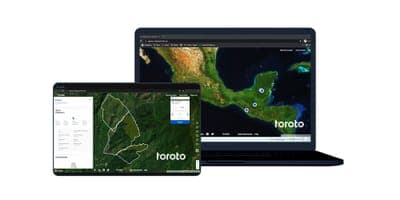 🌳 Toroto busca dar transparencia al mercado de bonos de carbono en México
