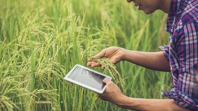 🌳 Agrofy y Santander anuncian alianza para potenciar a negocios Agro en Argentina