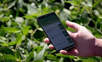 🌳  Agrofy y CREA lanzaron 'Generación AgTech'