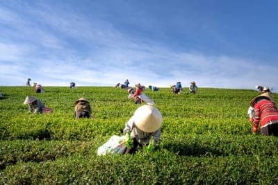 💸 Sistema.bio levantó US$15.6 en su Serie B