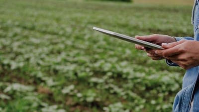 🌳 EDRA anuncia el inicio de sus operaciones en Argentina