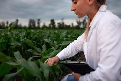 🌳 SIMA busca impulsar la digitalización del campo en México