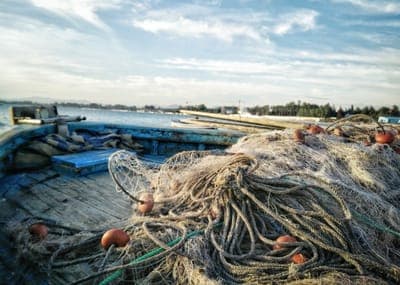 ♻️ Sinthesi busca darle una segunda vida a los desechos del océano en Chile