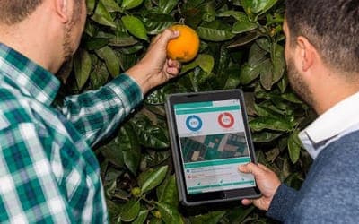 🛫 La agtech Kilimo aterriza en México