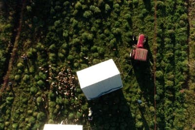 🌳 Ecoterra lanzará su primera colección de NFTs para fomentar la agricultura sostenible