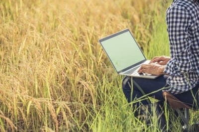 🌳 Flash Agro abrirá su plataforma para PyMEs en Argentina