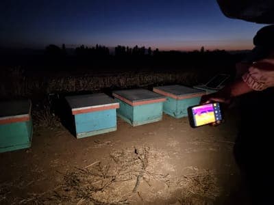 🐝 The Earth Says busca posicionarse en México