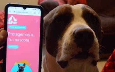 🐶 i&Pet lanza seguros para mascotas en México