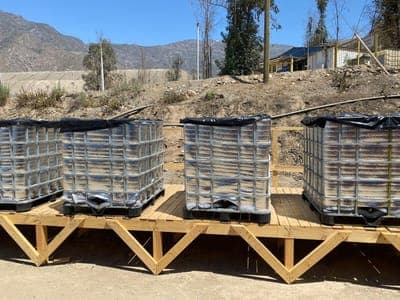 ⛏Nova Mineralis patentó su tecnología para extraer cobre con menores recursos