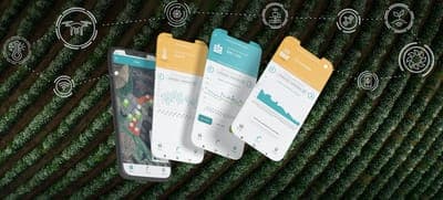 🌳 Instacrops anuncia el lanzamiento de su app para monitorear campos en México