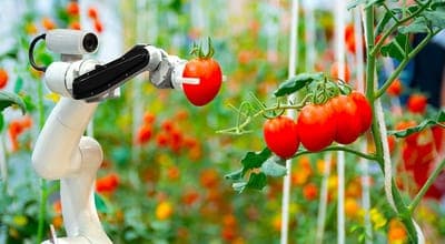 📈 Endeavor y PepsiCo lanzan el estudio  'The FoodTech landscape in Latin America'