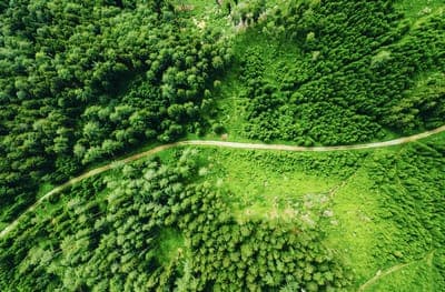 💳 Chipax busca reducir a 0 su huella de carbono