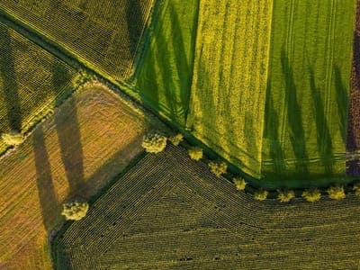 🌳 FlashAgro busca escalar su solución por LatAm