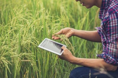 🌳 AgroPro busca facilitar el trabajo de agricultores en Argentina