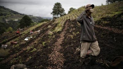 🌳🏅 BloomsPal ganó el 'Sustainable AgTech Challenge' 