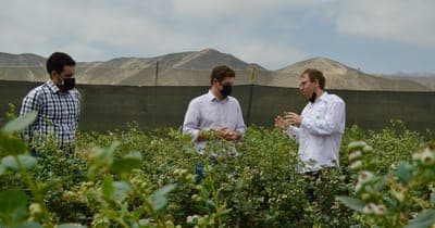 🌳 Produce-Pay anuncia el lanzamiento de 'Quick-Pay' para productores agrícolas
