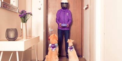 🐶 Laika expandirá su catálogo de servicios en México