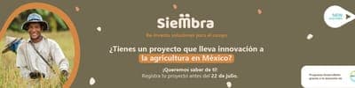 📝 Convocatoria: 'Siembra México'