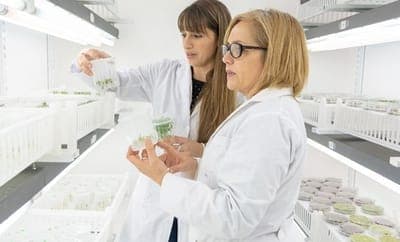 🧬 AgIdea y Bioheuris anuncian alianza para el mejoramiento genético