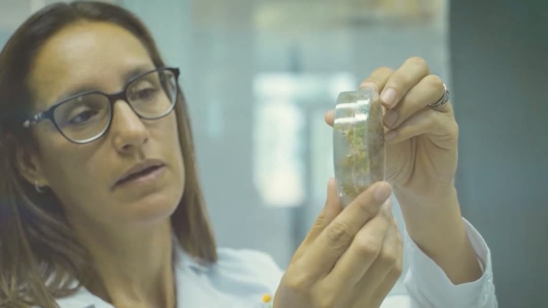 🚀 🏆 Renata Reinheimer de INFIRA es elegida Emprendedora del Año por la ONU