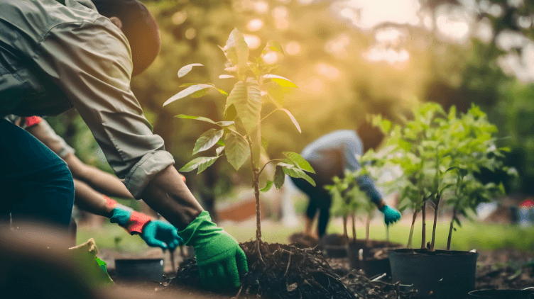 🤝 Just Climate se alía con IFC e Itaú para inversiones en LatAm