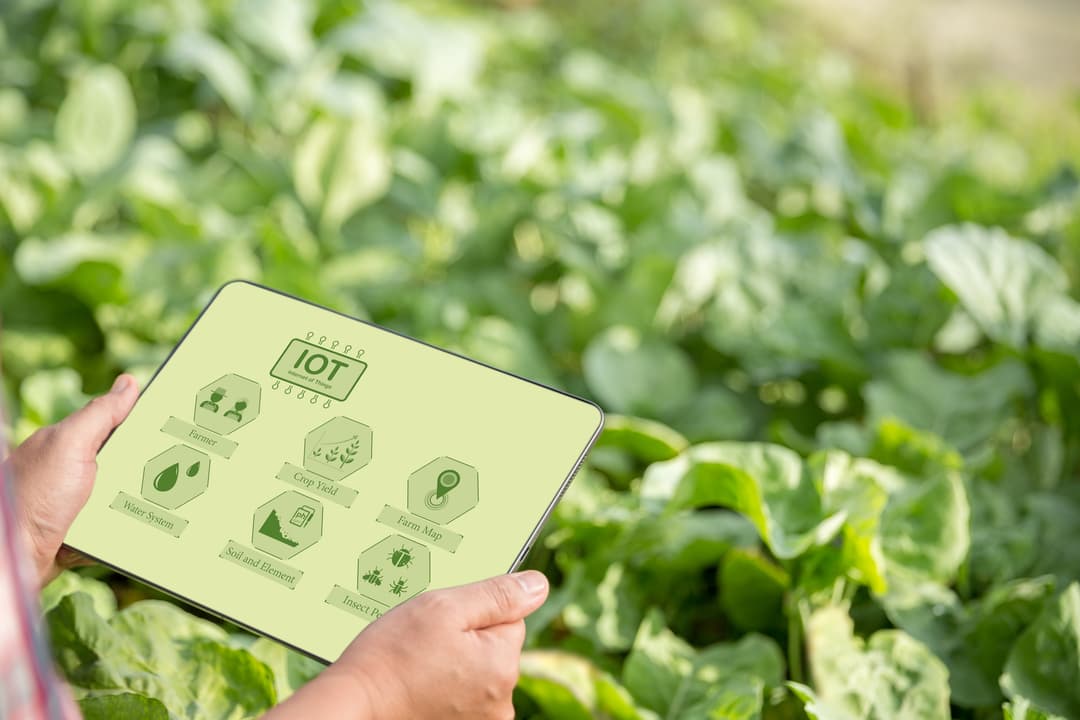 🚀 Sigma lanza nuevos retos de Tastech 2026 para startups de FoodTech