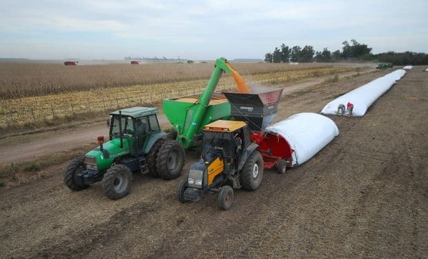 🚀 🌾 Nera: La plataforma digital que revoluciona el financiamiento agropecuario en Argentina