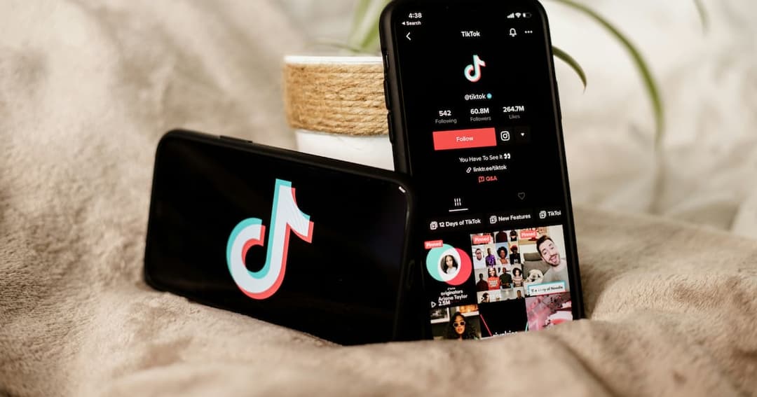 💰 📱 TikTok y New Ventures destinan USD 500,000 para impulsar emprendedores en México