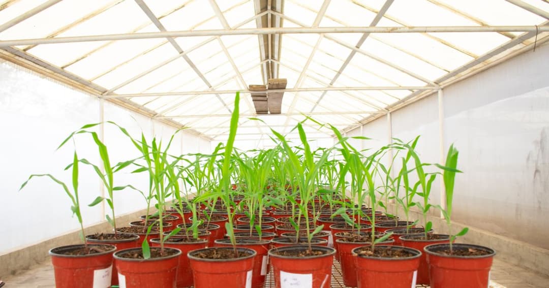 🚀 🌾 Puna Bio presentará innovaciones biotecnológicas en el Congreso Aapresid 2026