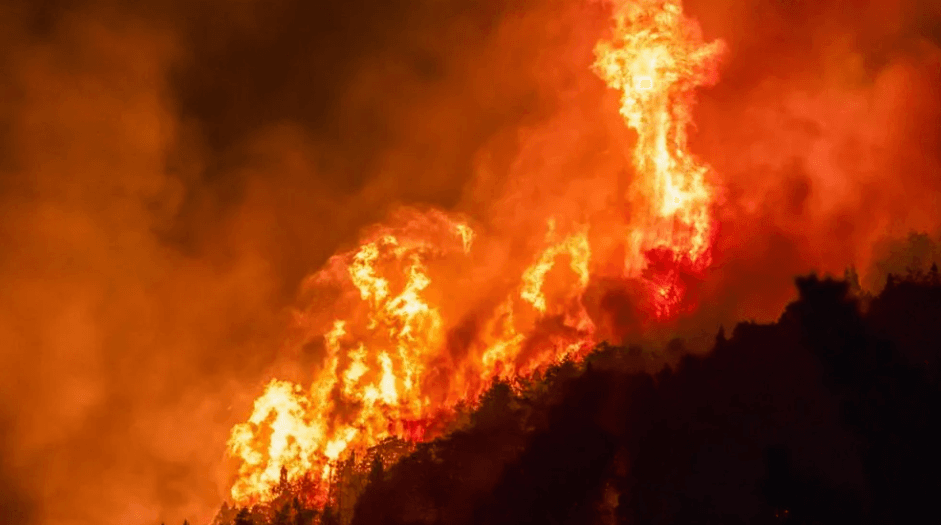 🚀 🔥 Satellites on Fire se une a programa de Google y Jeff Bezos contra incendios