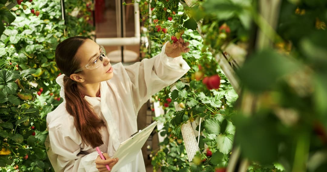 🌱 Eatable Adventures lanza Raíces para impulsar startups Agrifoodtech en Latam y España