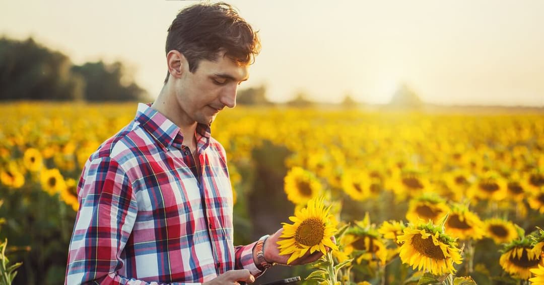 🌎 🚜 Nera busca impulsar el agro tras financiar más de u$s 1200 millones