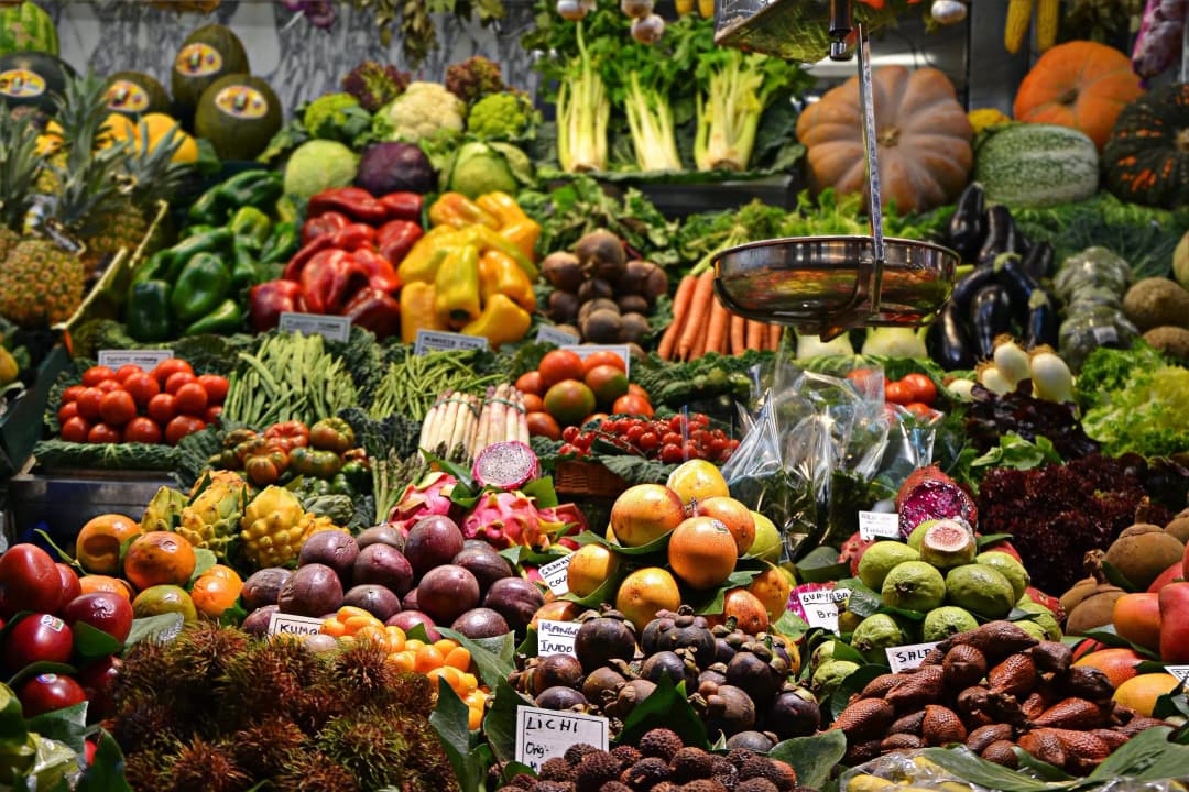 🚀 🍎 Cheaf rescata 7.000 toneladas de alimentos en Chile y anuncia metas de crecimiento