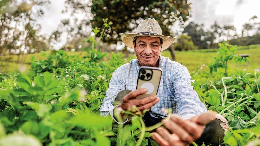 🌱 CAF anuncia 20 finalistas de LIF 2025, con ocho colombianos