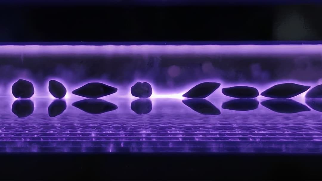 🌱 Sylvarum cierra inversión con Inventure para revolucionar el tratamiento de semillas con plasma