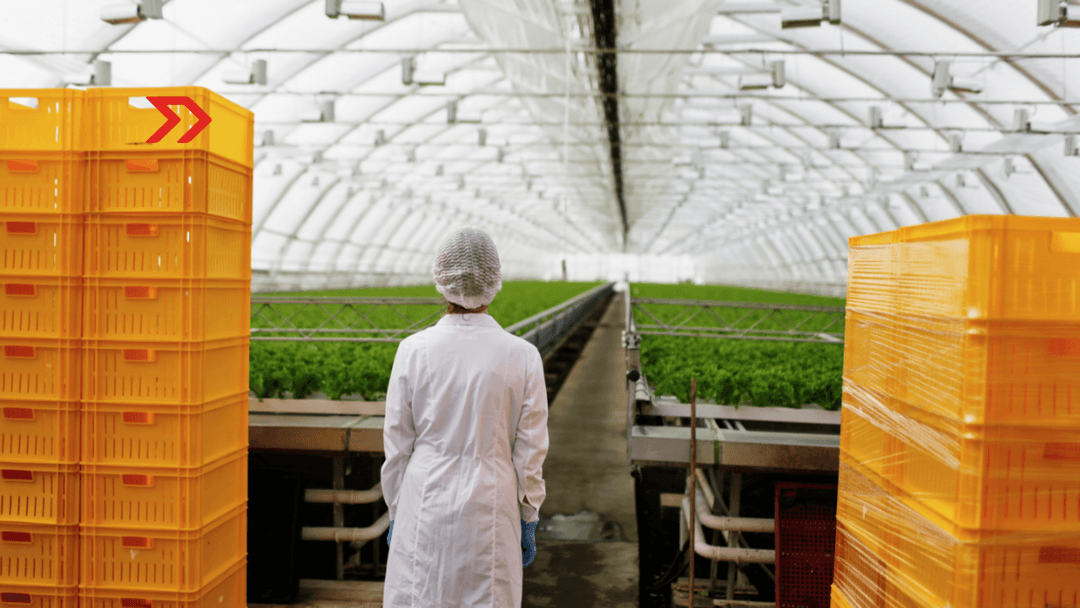 💰 🍎 Loads asegura 15 mdd en deuda para financiar PyMEs exportadoras de alimentos