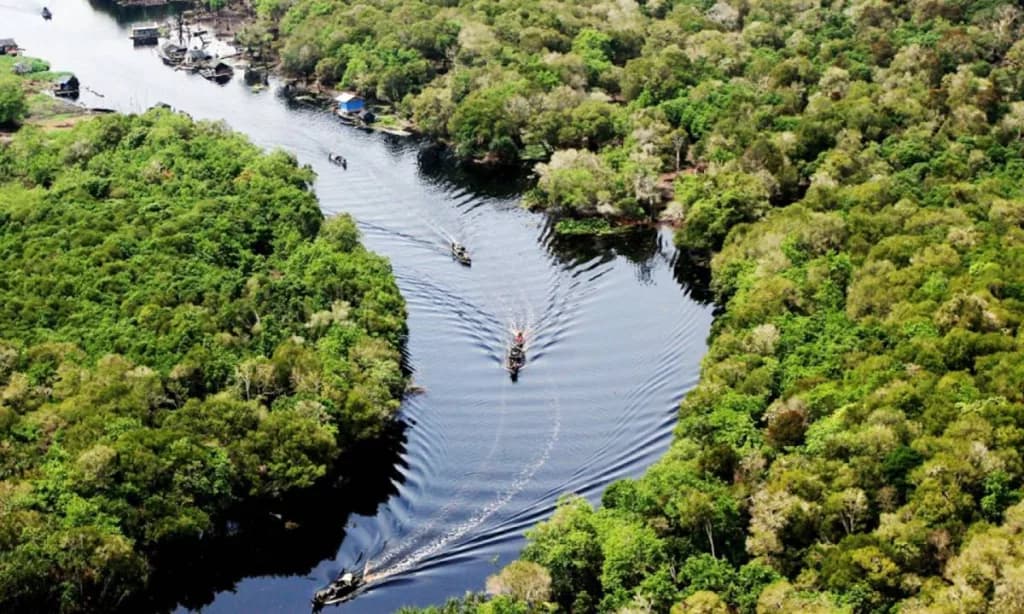 💰 🌳 BID Lab se suma al fondo de Amazonia Impact Ventures para financiar la bioeconomÃa