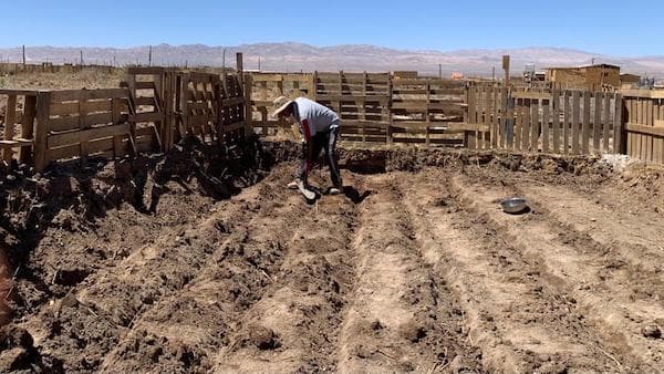 🚀 ⏳ Últimos días para postular a Programa Expande de Corfo