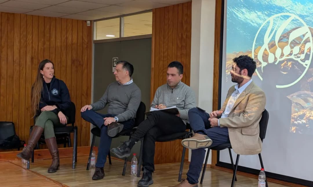 💰 🌿 Huiro Regenerativo impulsa la acuicultura sostenible en el primer Huiro Day