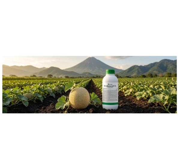 🌎 🇬🇹 ClearLeaf expande su presencia agtech a Guatemala con el registro de nuevo producto