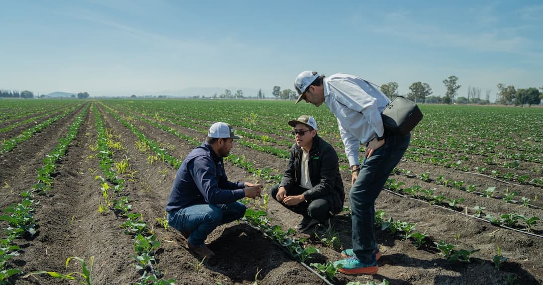 🚀 💧 Kilimo y P&G se alían para restaurar 1,000 millones de litros de agua en el Valle de México